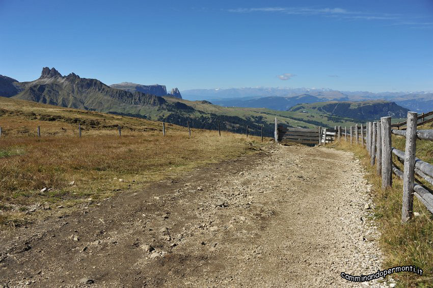 109 Altipiano dello Sciliar - Alpe di Siusi.JPG